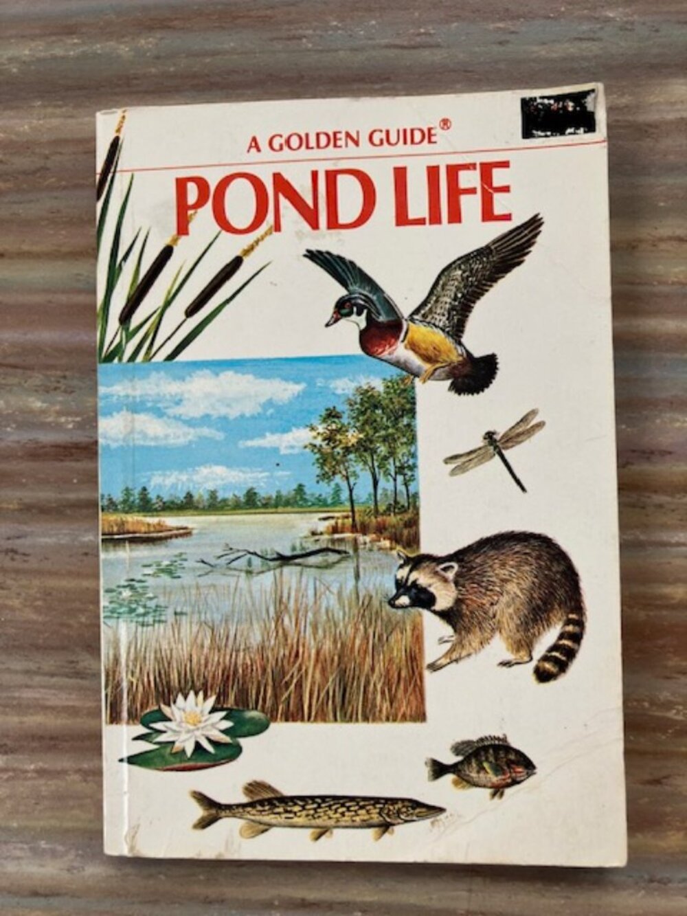Vtg Pond Life Common Plants & Animals Golden Nature Pocket Guide 1967 G. Reid